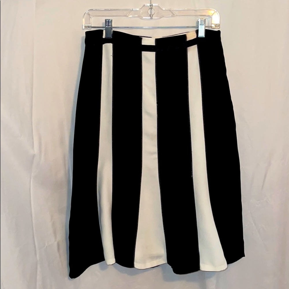 Black and White A-Line Skirt